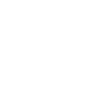 Núcleo do Fluir - Logo branco sem slogan